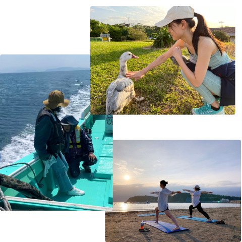 Featured Work Image